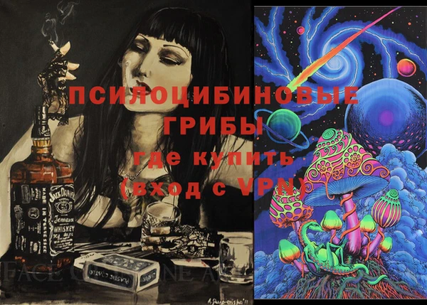 стафф Алексеевка