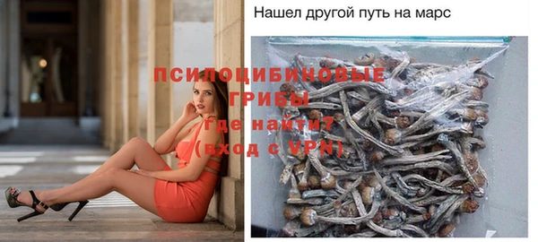 стафф Алексеевка