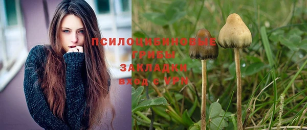 винт Алексин