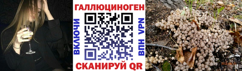 Купить  Удачный  Псилоцибиновые грибы GOLDEN TEACHER 